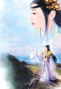 有女不归